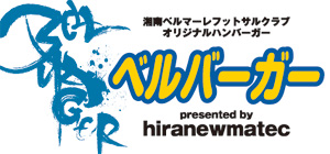 hiranewmatec_logo