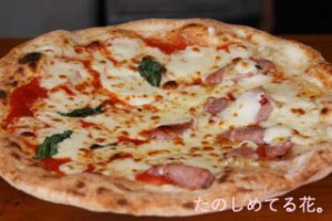 ohanami_pizza