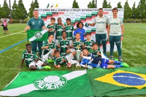 01_palmeiras_01