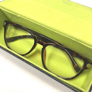 megane_case_02