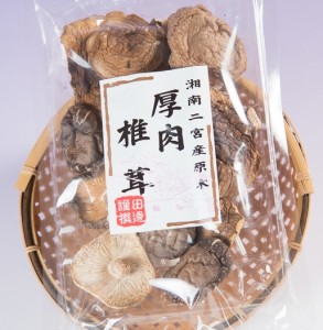 atsuniku_shiitake