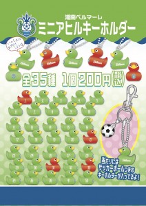 2018bellmare_ahirukh