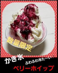 berrywhip