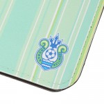 m_passport_case_stripe_light_green_03