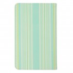 passport_case_stripe_light_green_02