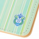 passport_case_stripe_light_green_03