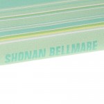 passport_case_stripe_light_green_04